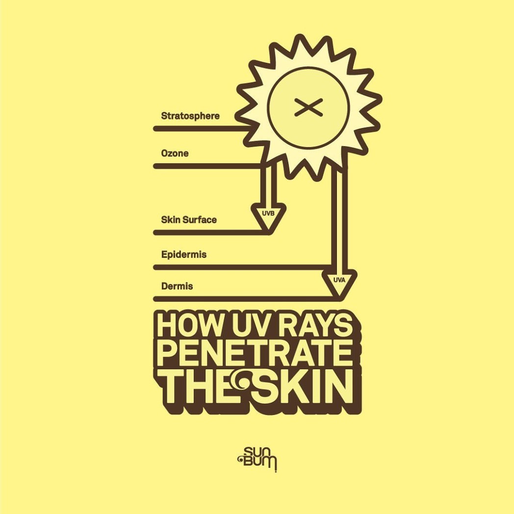 SUN BUM - Sunscreen | Spray SPF 30