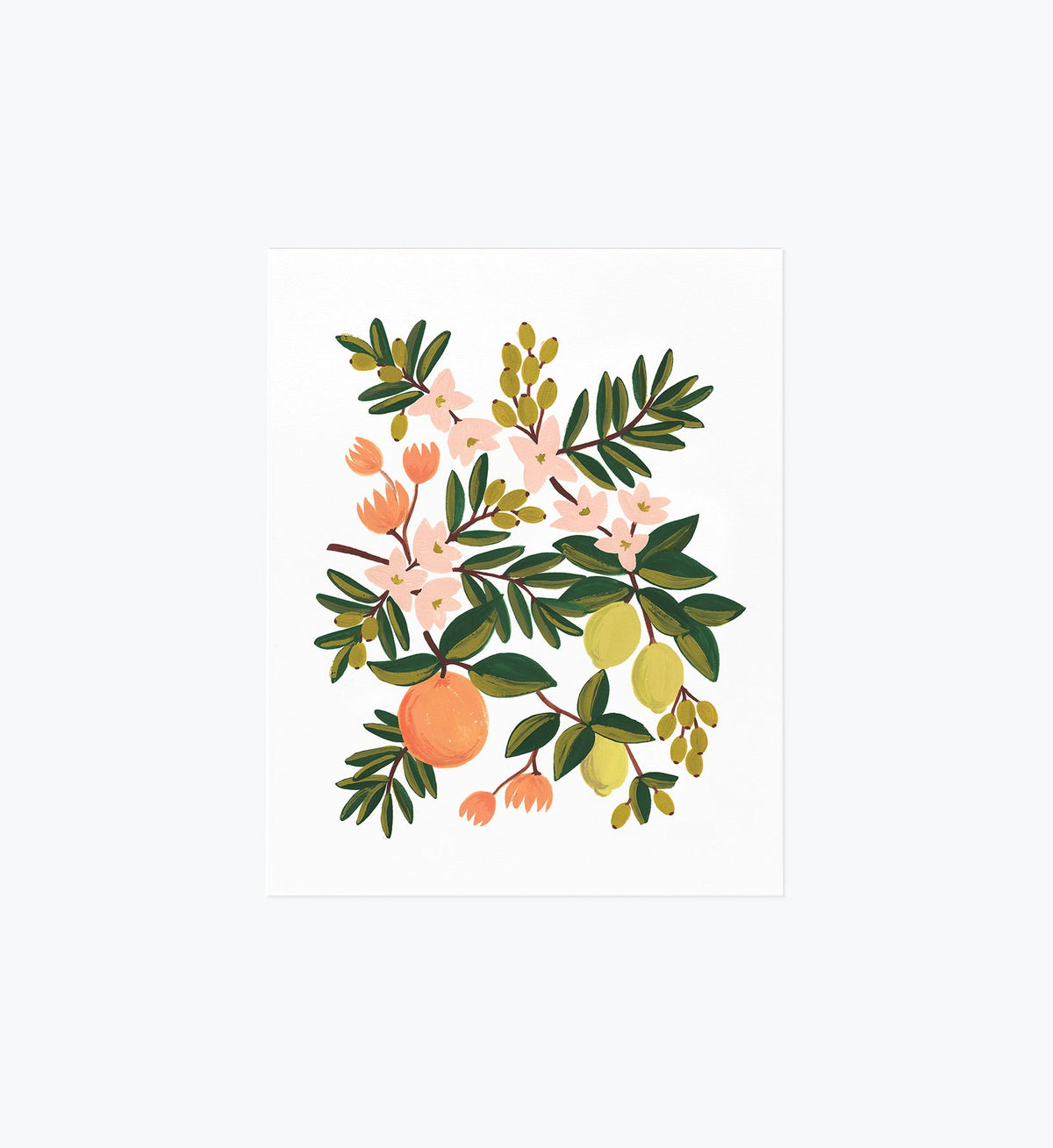 Citrus Floral Art Print