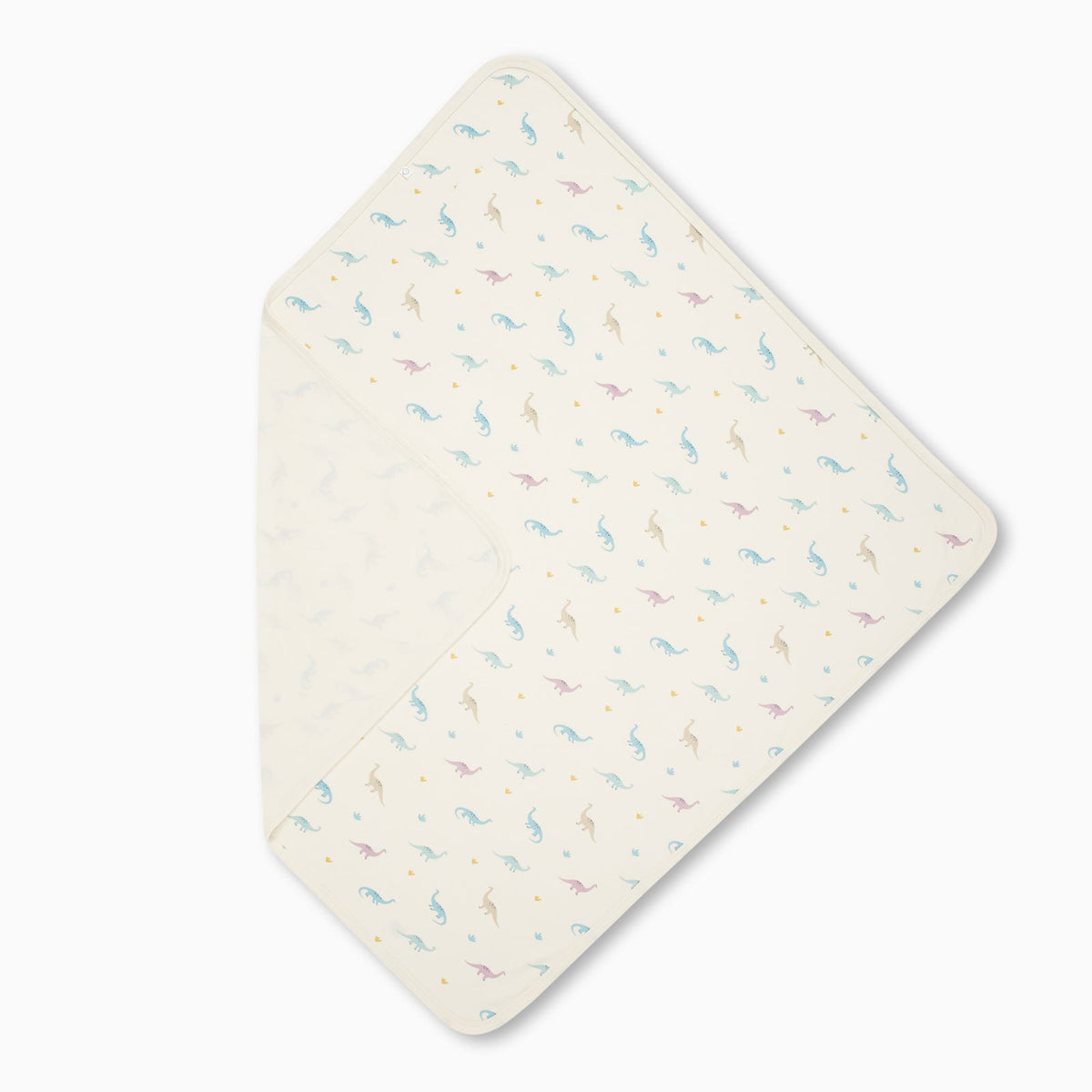 Dino Baby Blanket