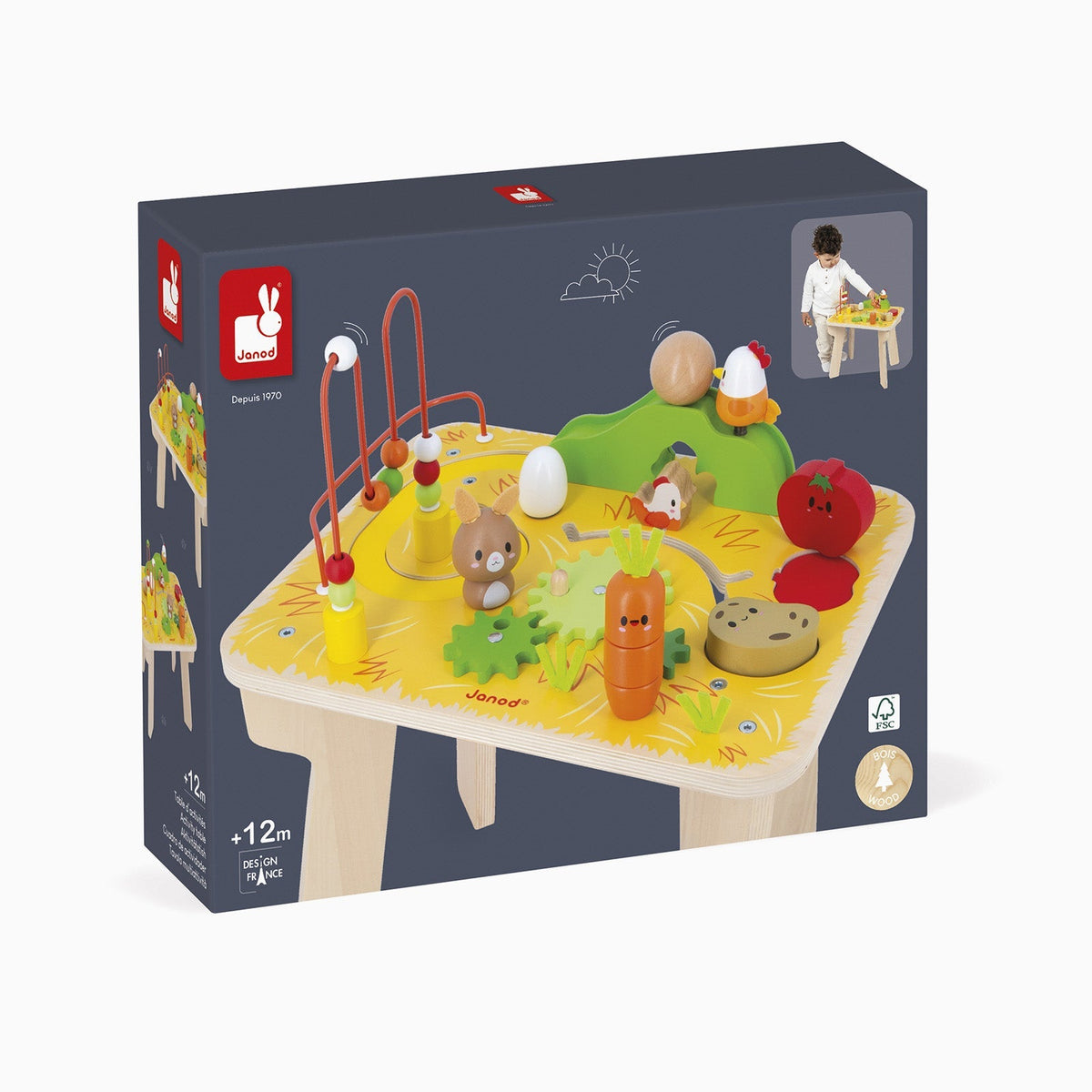 Janod Farm Activity Table