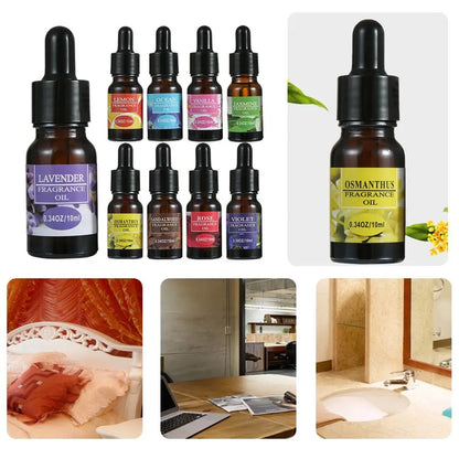 10ml Car Perfume Refill Liquid Flavor Essential Oil with Dropper Car Air Freshener Refill For Air Humidifier Home Auto Fragrance