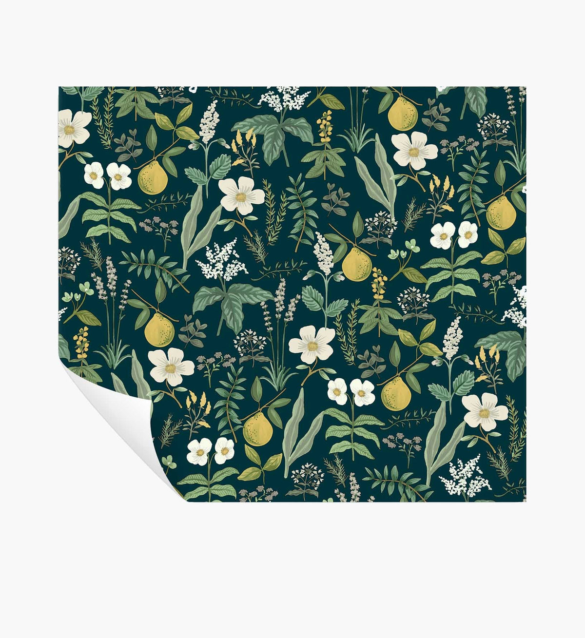 Herb Garden Peel & Stick Wallpaper - Navy