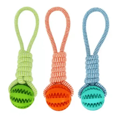 Durable Rubber Ball Chew Toy with Cotton Rope