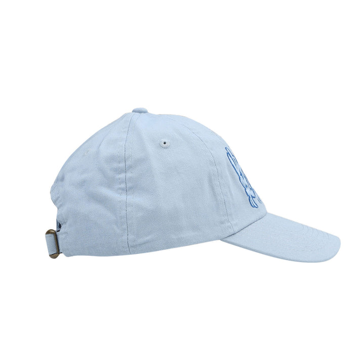 POV Cap - Blue