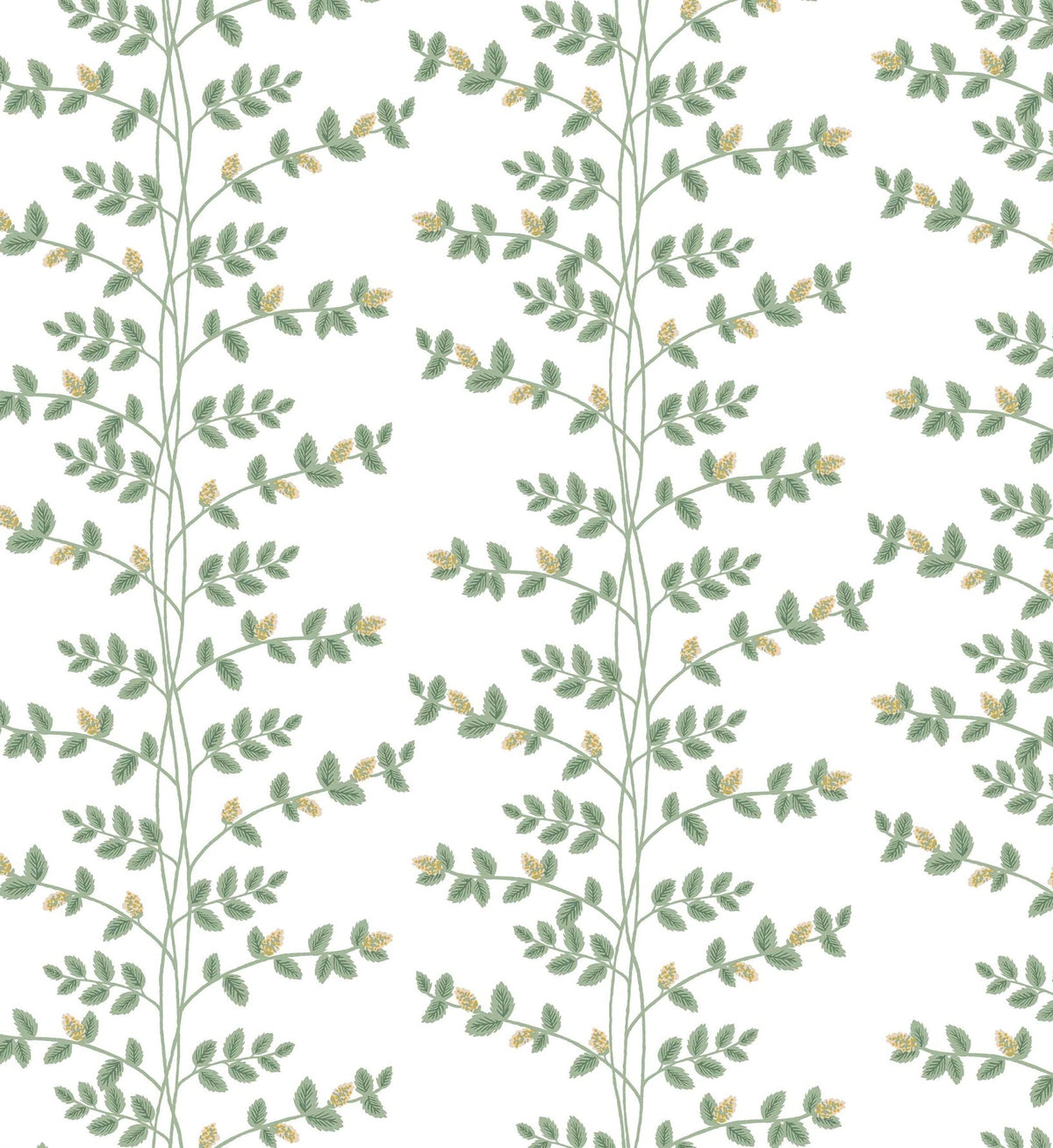 Climbing Vines Wallpaper - White & Metallic Gold
